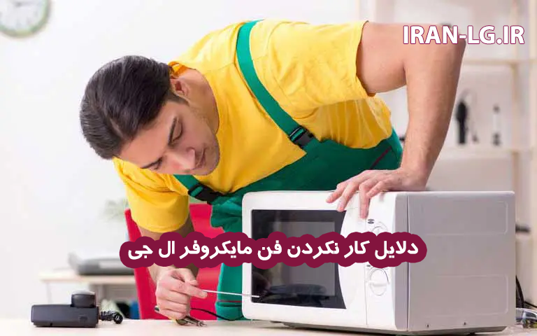 علت کار نکردن فن مایکروفر ال جی 2 دلایل کار نکردن فن مایکروفر ال جی